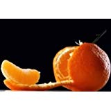 Aromatic Refill - FRESH